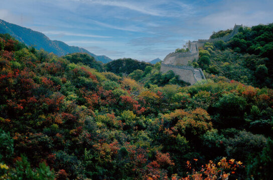 北京八達嶺長城紅葉