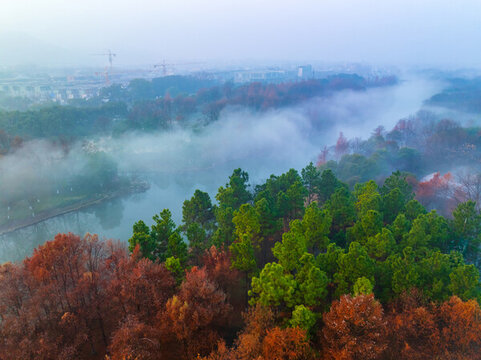 杭州西溪濕地公園森林風(fēng)光