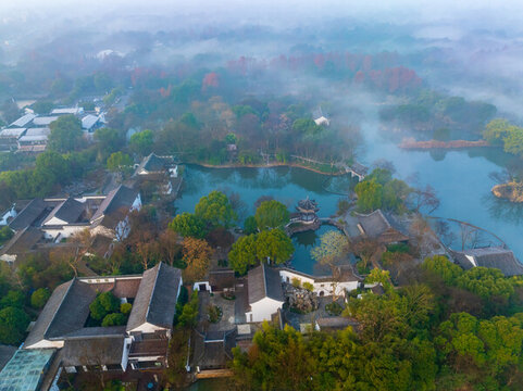 杭州西溪濕地公園森林風(fēng)光