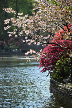 魯迅公園湖景
