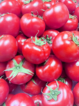 西红柿番茄素材