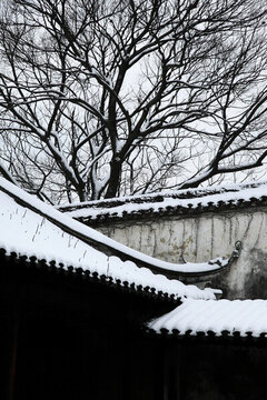 留園雪景