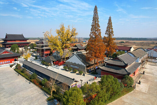 六安昭慶寺銀杏