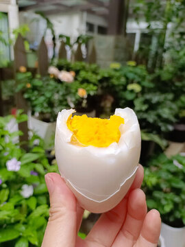 煮雞蛋