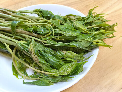 焯水鮮香椿