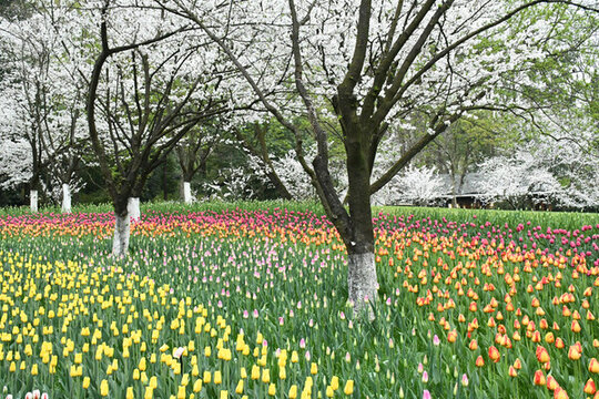 太子灣公園