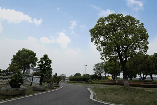 濕地公園