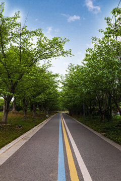 公園小路