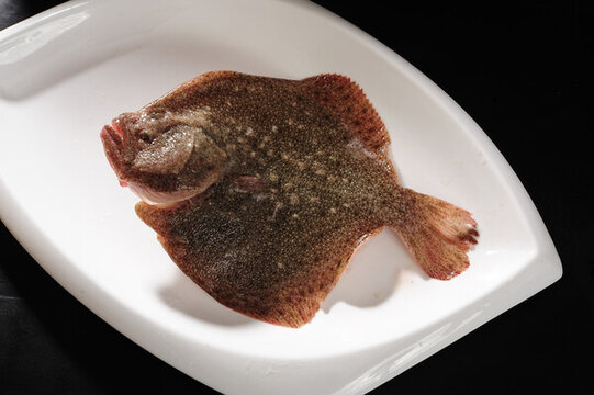 多寶魚
