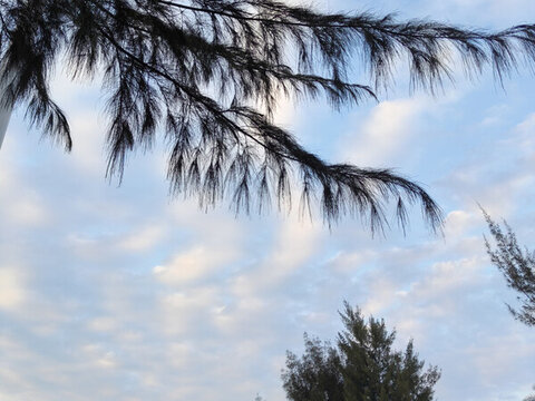 海邊的天空