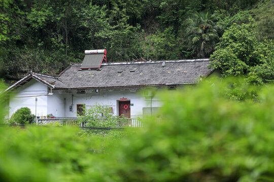 農(nóng)家小院