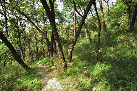 河北省石家莊市靈壽縣秋山風(fēng)景區(qū)