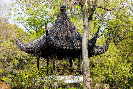 蘇州拙政園