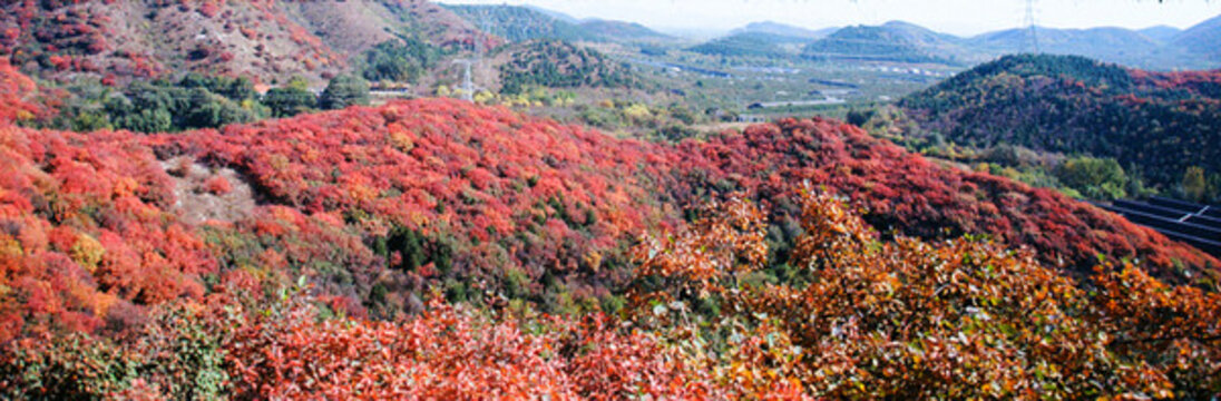 北京順義舞彩淺山紅葉