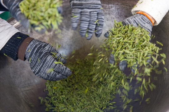 手工茶葉炒茶鐵砂鍋制茶
