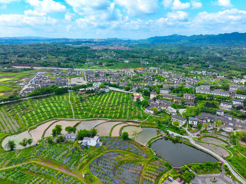 美麗鄉(xiāng)村英雄灣村