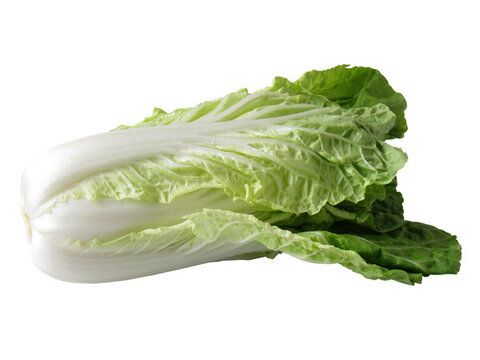 白色背景上的新鲜蔬菜