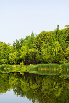 浣花溪公園