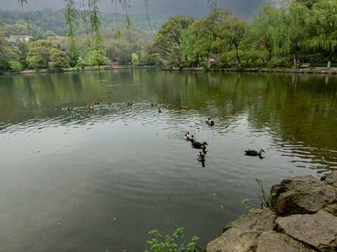 杭州湖景