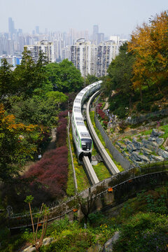 開(kāi)往春天的列車(chē)