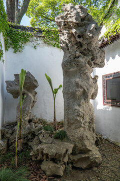 園藝