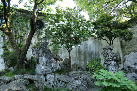 蘇州留園