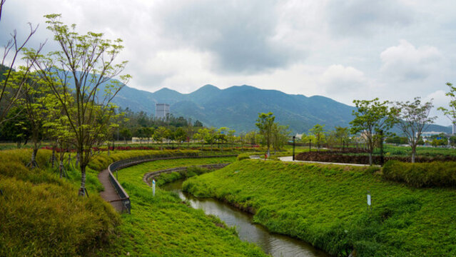 深圳坪山區(qū)田頭河濕地碧道