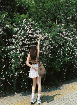薔薇花