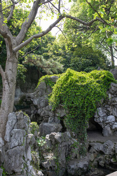 藝圃