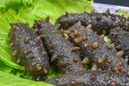野生即食海參刺參海鮮美食