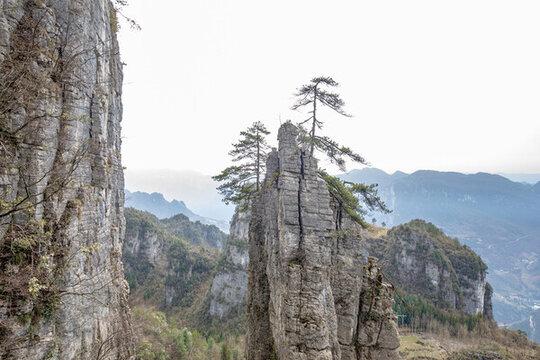 湖北恩施大峽谷