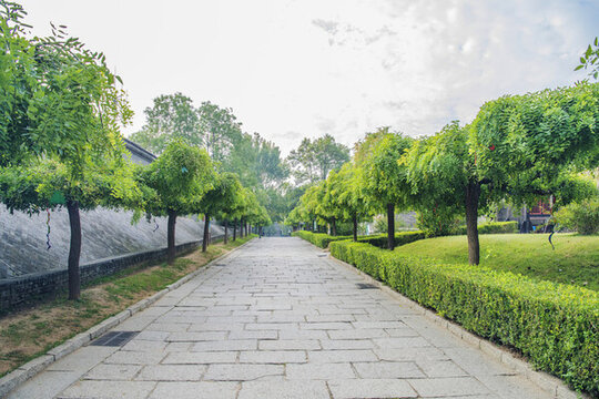 老龍頭寧海城樹(shù)木城墻石磚路
