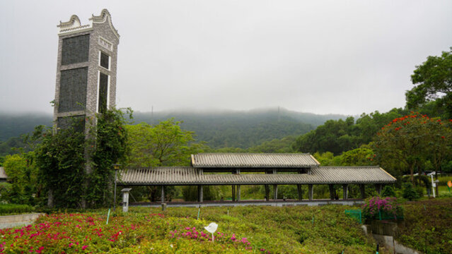 深圳簕杜鵑谷風(fēng)景