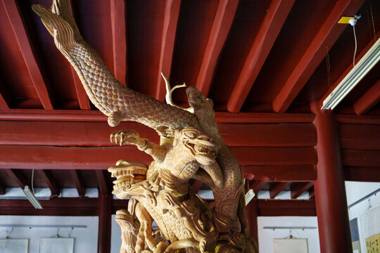 玉溪九龍池公園九龍根雕