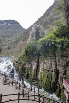 湖北利川騰龍洞