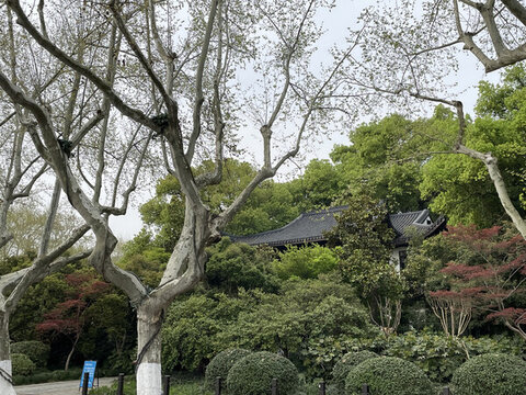 西湖風景