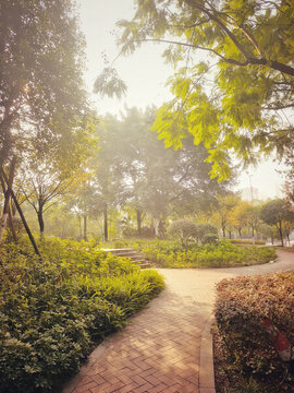 陽(yáng)光下的花園