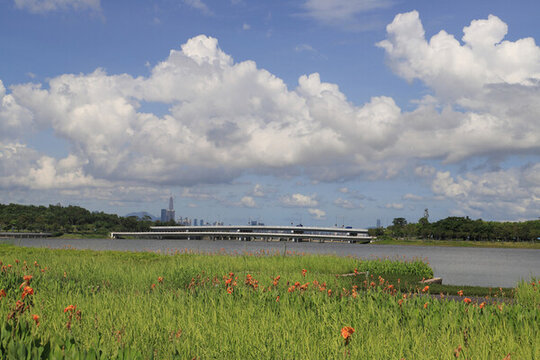 廣東深圳人才公園