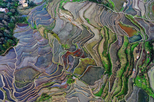 梯田風(fēng)光