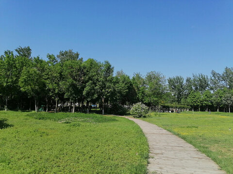 公園綠地