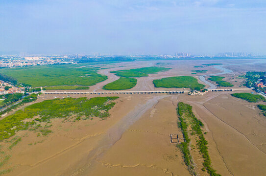 泉州洛陽橋