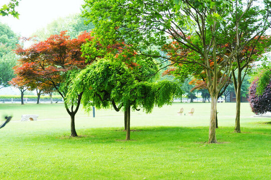 長沙橘子洲公園