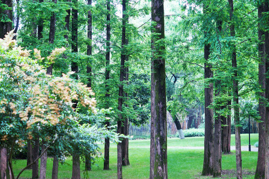 長沙橘子洲公園
