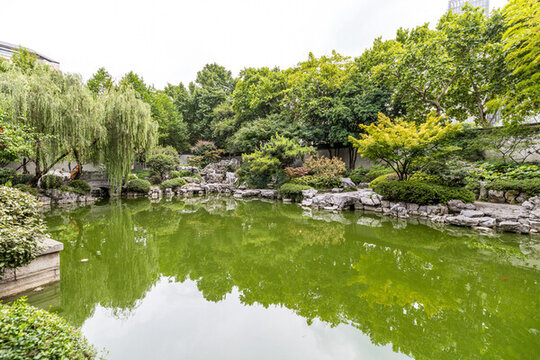 南京總統(tǒng)府后花園古典園林景觀