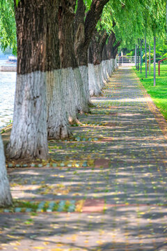 公園步道