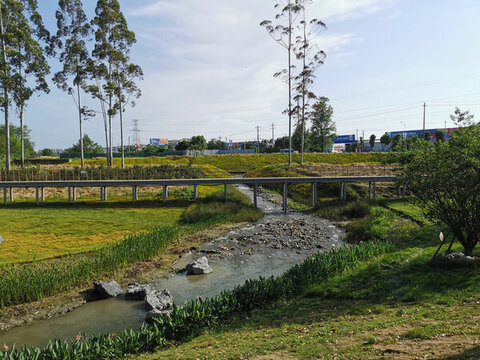 公園生態(tài)環(huán)境