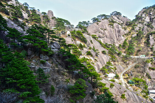 春日黃山