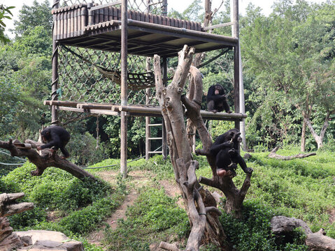 動(dòng)物園設(shè)備