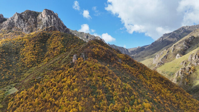 山脈秋色