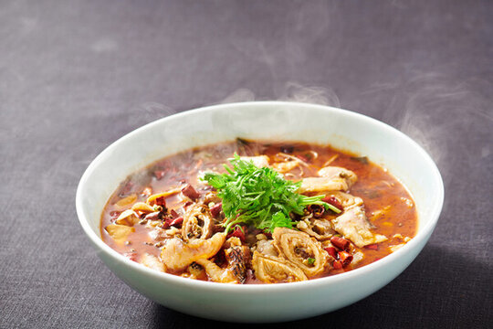肥腸魚(yú)